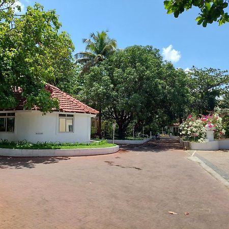 Angels Resort Aradi Socorro Eksteriør billede